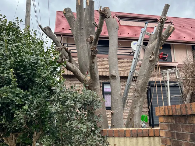 キャンペーン対象業種！1万円で1000円オフ4年の実績で1000件超！コスパ抜群サービスの画像