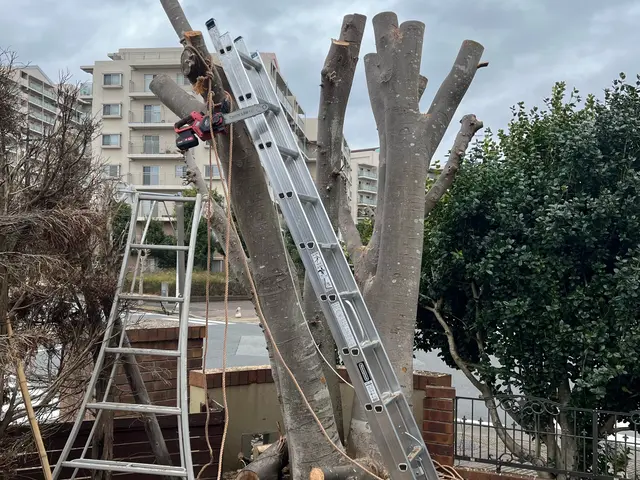 キャンペーン対象業種！1万円で1000円オフ4年の実績で1000件超！コスパ抜群サービスの画像