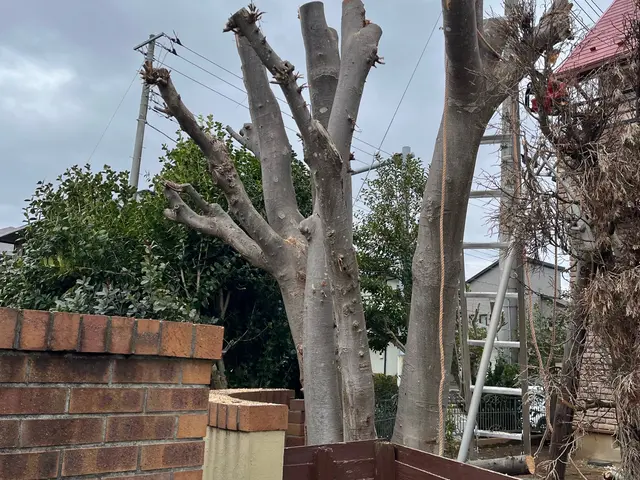 キャンペーン対象業種！1万円で1000円オフ4年の実績で1000件超！コスパ抜群サービスの画像