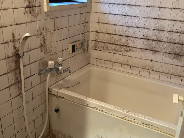 年内のご予約終了！空きが出ましたら随時更新！　年明けのご予約お待ちしております。サービスの画像