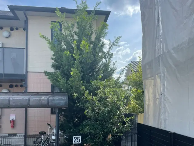 【この道20年】松は別途お見積りをお願いします。サービスの画像