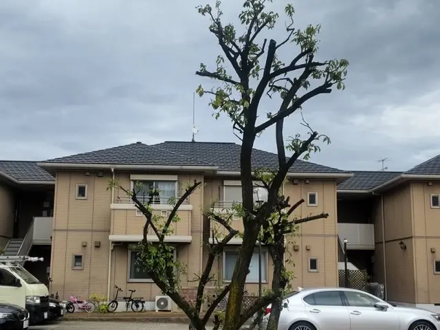 【この道20年】松は別途お見積りをお願いします。サービスの画像