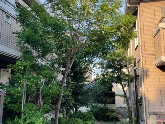 【この道20年】松は別途お見積りをお願いします。サービスの画像