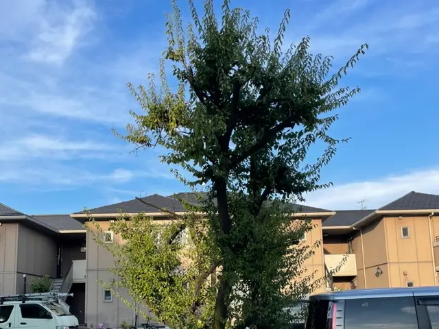 【この道20年】松は別途お見積りをお願いします。サービスの画像