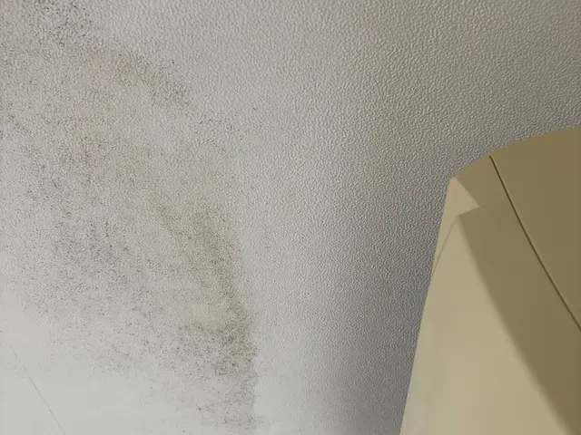 壁紙綺麗に仕上げます、一度ご相談ください◯2.３月期募集中サービスの画像