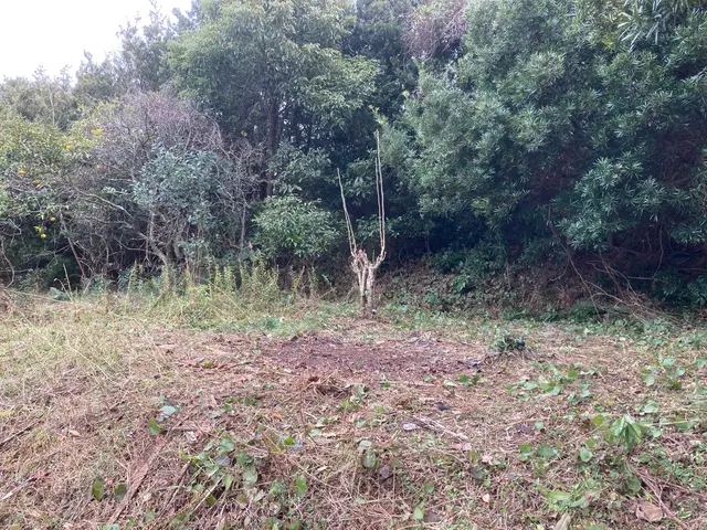 物置、倉庫、コストコ倉庫、イナバ物置など解体撤去、引越し移設などおまかせ。サービスの画像