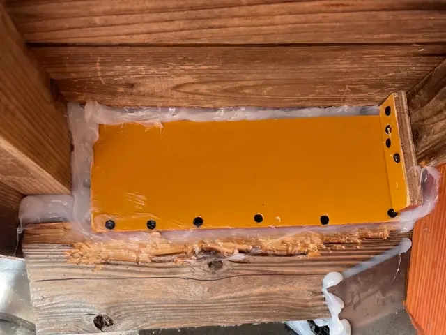 ハクビシン・アライグマ対策・駆除、お気軽にどうぞ。屋根裏で物音がするなど！サービスの画像