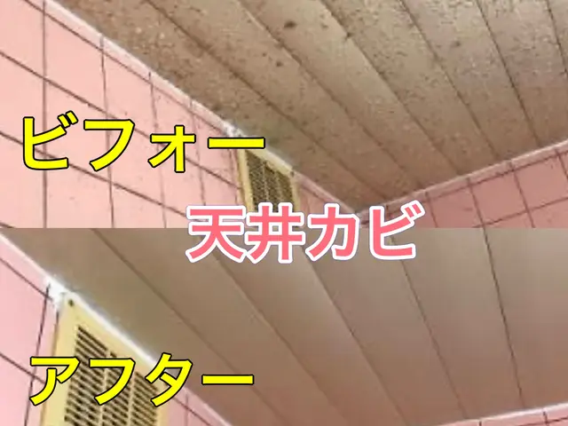 【大阪〜兵庫】お風呂のお掃除頑張ります！！コインP無料♬非喫煙者です^ - ^サービスの画像