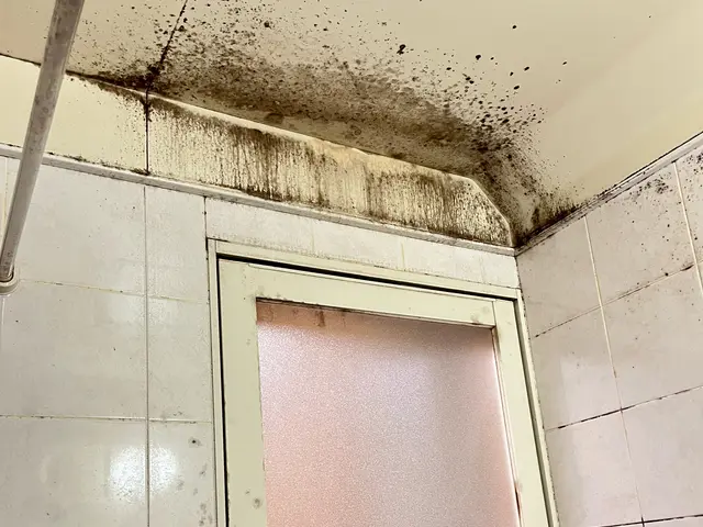 【年内まだ空きがあります】岡山在住の5児主夫が忙しいあなたの代わりに大掃除しますサービスの画像