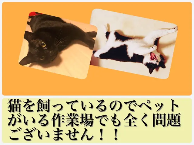 〄アワード受賞店〄現金決済で2000円オプション◉無料◉【1児のパパが伺います】サービスの画像