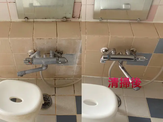 【石鹸カス、黒カビ】お任せ下さい☆丁寧な作業をお約束サービスの画像