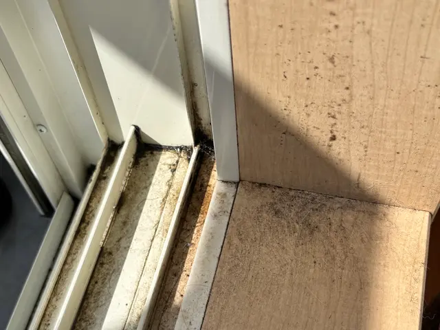 年末に向けて早めの大掃除◡̈❁窓ガラス/網戸/サッシ/レール/ピカピカに◡̈❁サービスの画像