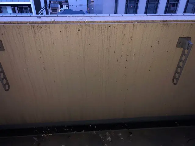 【ゴミや汚れを一掃！】◎床や壁の雨だれ、溝、排水口に薬品を塗布してブラッシング！サービスの画像