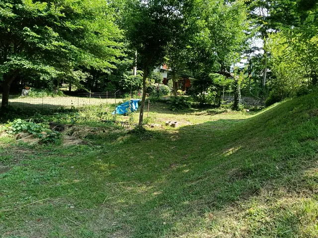 店長訪問◎斜面も広い場所も隅々まで綺麗に仕上げますサービスの画像