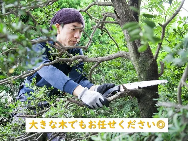 ～継続して選ばれる仕事をご提供～　職歴11年、造園技能士、損害保険加入で安心◎サービスの画像