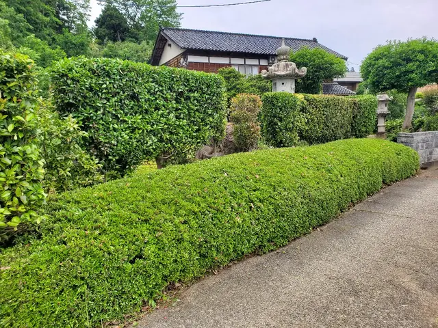 造園会社での経験有り/店長訪問/地元密着◎◎サービスの画像