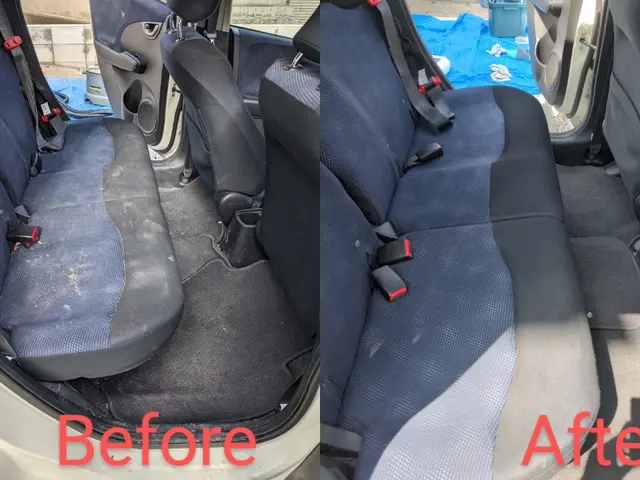 【車内清掃専門店】嘔吐ペット臭/尿シミ/汗カビ/タバコ臭/ダニ駆除はお任せ下さいサービスの画像