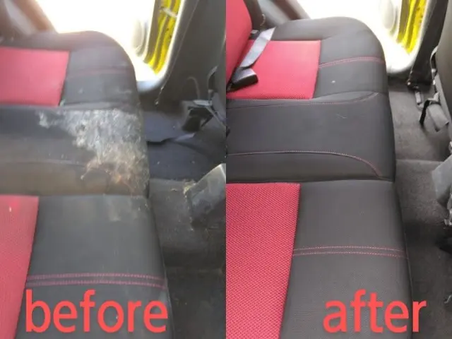 【車内清掃専門店】嘔吐ペット臭/尿シミ/汗カビ/タバコ臭/ダニ駆除はお任せ下さいサービスの画像