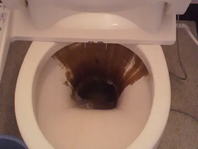 トイレクリーニング♪気になる汚れもスッキリ♪スリッパ持参で伺います★サービスの画像