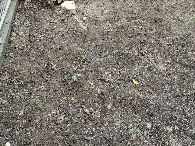 ◎年中無休◎予約から作業まで100%自社対応◎女性スタッフ同行可能サービスの画像