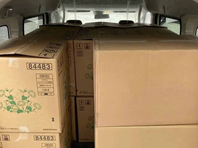 忙しい方のお手伝い。小荷物運びます。大荷物もご相談ください。サービスの画像