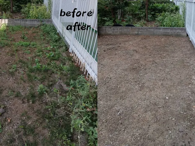 リピート多数★どんなお庭も手作業でキレイに★草むしり(手作業)ならお任せ下さい！サービスの画像