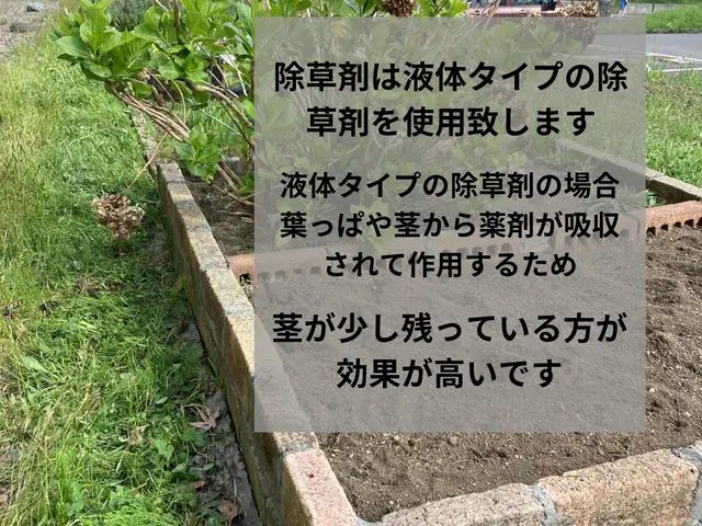 リピート多数★どんなお庭も手作業でキレイに★草むしり(手作業)ならお任せ下さい！サービスの画像