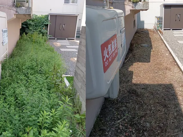 リピート多数★どんなお庭も手作業でキレイに★草むしり(手作業)ならお任せ下さい！サービスの画像