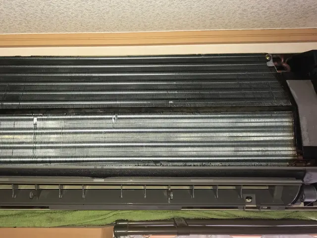 天然成分の洗剤を使用しますのでお子様・ペットにも安心！気になる臭いも一掃します！サービスの画像