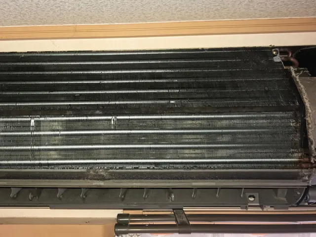 天然成分の洗剤を使用しますのでお子様・ペットにも安心！気になる臭いも一掃します！サービスの画像