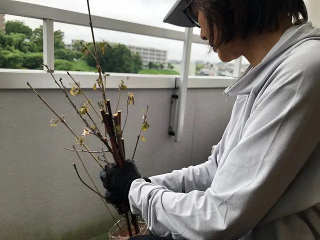 コツコツ手作業ならではの綺麗を体感！安心してお任せください。サービスの画像