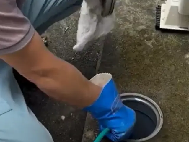 排水管の中を専用のカメラで確認しながら、確実にきれいにします。サービスの画像