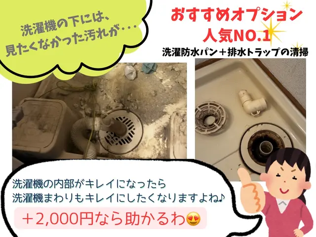 子育て家庭の縦型洗濯機専門｜黒カビ＆皮脂汚れを丁寧に分解洗浄します☆サービスの画像