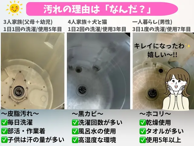 【出店特価キャンペーン中】黒カビ皮脂汚れをしっかり分解洗浄☆気持ちの良い洗濯へ☆サービスの画像