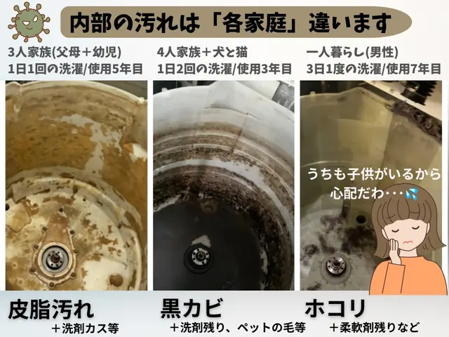 【出店特価キャンペーン中】黒カビ皮脂汚れをしっかり分解洗浄☆気持ちの良い洗濯へ☆サービスの画像