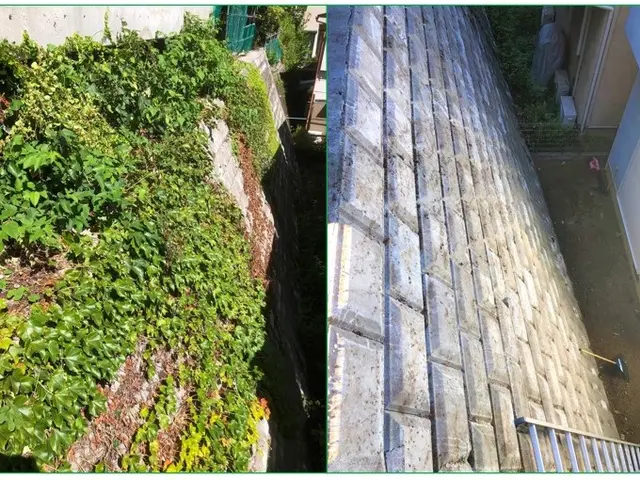 【お庭ケアサービス】空地・お庭・斜面・駐車場の除草はお任せください！サービスの画像