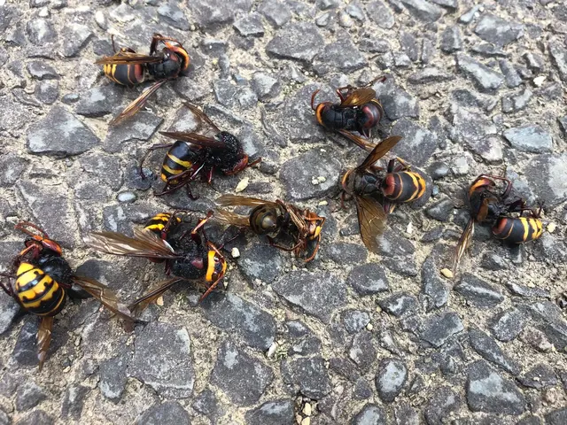 24時間対応！夏の繁忙期キャンペーン中サービスの画像