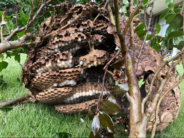 24時間対応！夏の繁忙期キャンペーン中サービスの画像