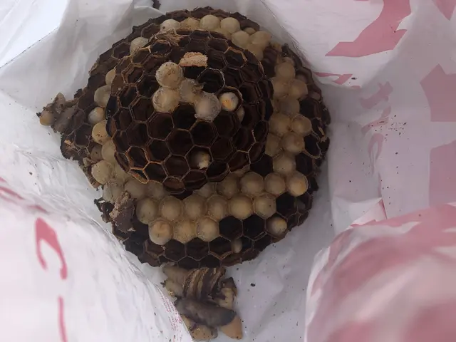 24時間対応！夏の繁忙期キャンペーン中サービスの画像