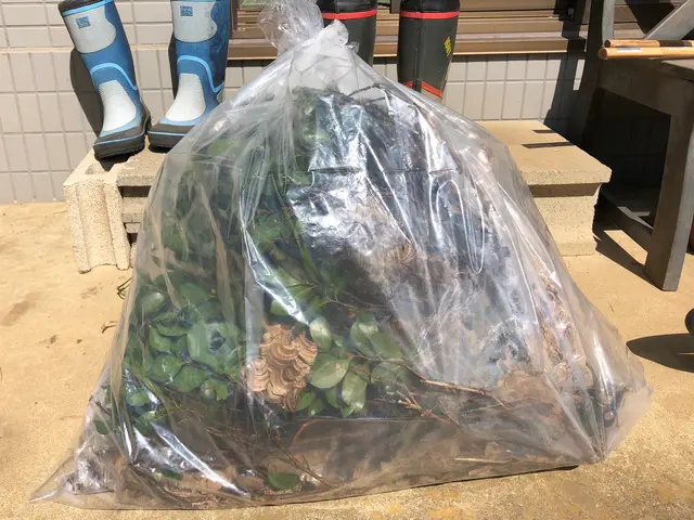 24時間対応！夏の繁忙期キャンペーン中サービスの画像