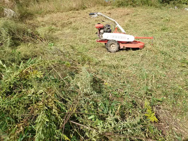 休耕地　太陽光発電　空地空家等除草作業お任せ下さい！ご予約前に写真等で簡単見積！サービスの画像