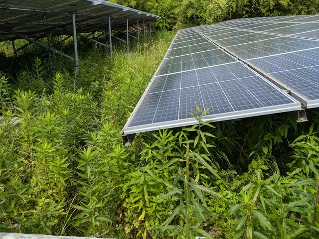 休耕地　太陽光発電　空地空家等除草作業お任せ下さい！ご予約前に写真等で簡単見積！サービスの画像