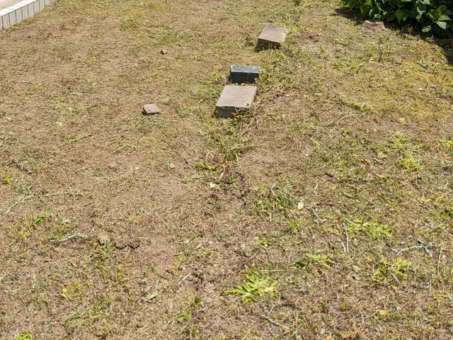 休耕地　太陽光発電　空地空家等除草作業お任せ下さい！ご予約前に写真等で簡単見積！サービスの画像