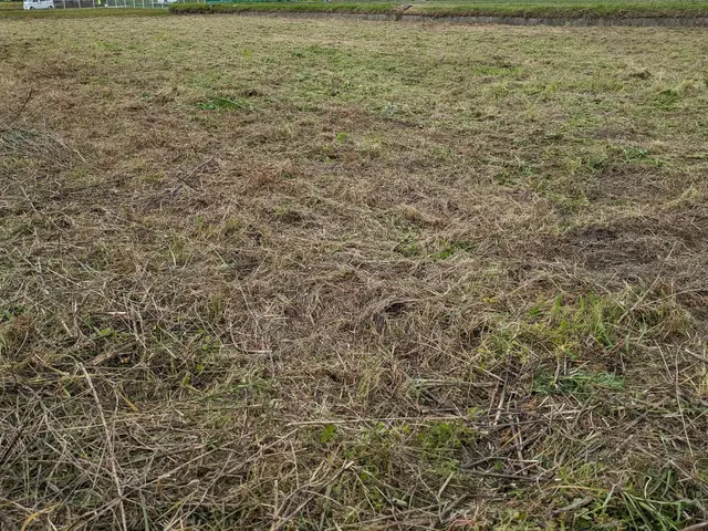 休耕地　太陽光発電　空地空家等除草作業お任せ下さい！ご予約前に写真等で簡単見積！サービスの画像