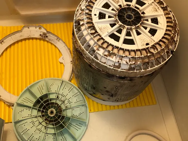 【洗濯機徹底分解洗浄！カビ菌徹底除去！】ビートウォッシュも対応可能です！サービスの画像