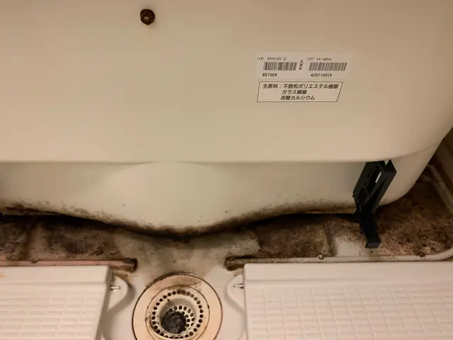 年末年始の大変なお掃除はお任せ下さい！　まごごろを込めて綺麗にいたします！サービスの画像