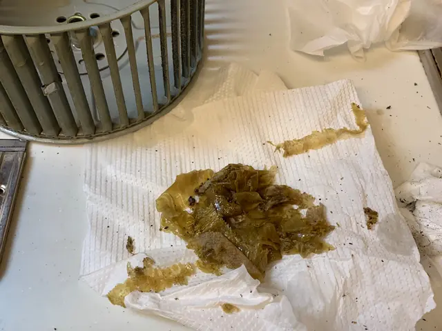 年末年始の大変なお掃除はお任せ下さい！　まごごろを込めて綺麗にいたします！サービスの画像