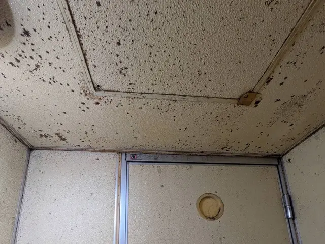 浴室クリーニングサービスの画像