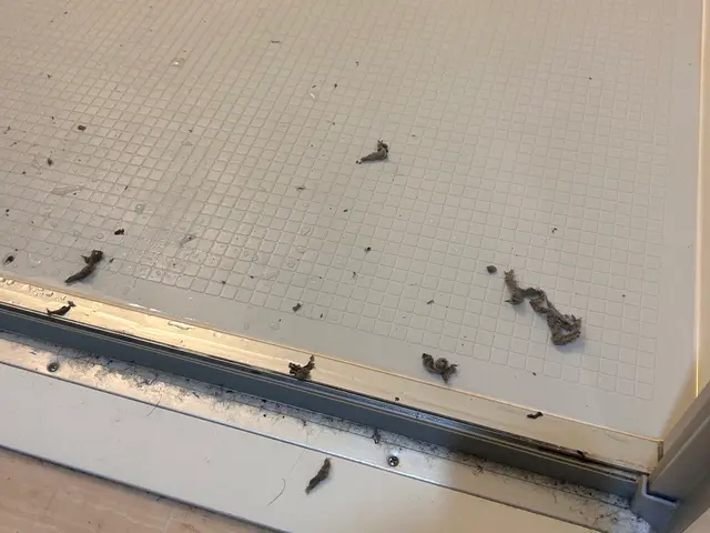 浴室クリーニングサービスの画像