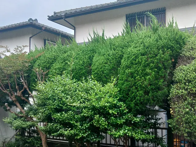 大変な生垣の剪定・植え込みの管理のご相談お受けしております。お気軽にご相談下さいサービスの画像